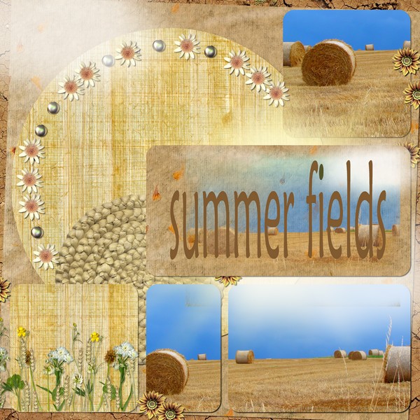 summer fields