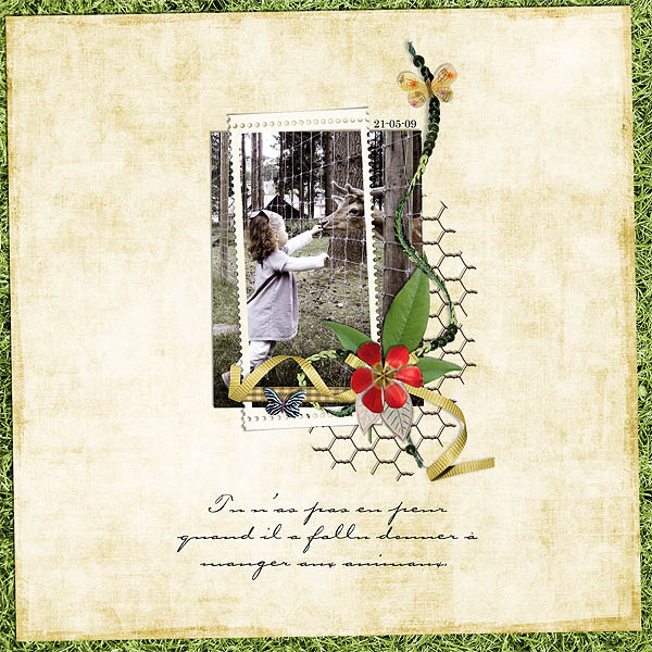 summerfields_page_2