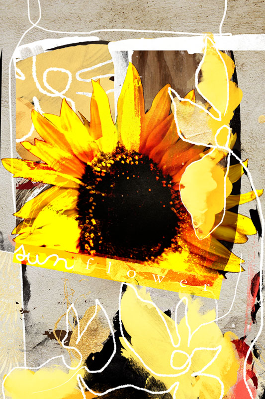 Sunflower      challenge 3