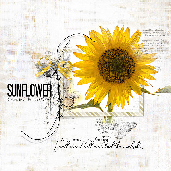 Sunflower