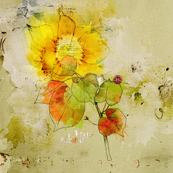 sunflowers and autumn