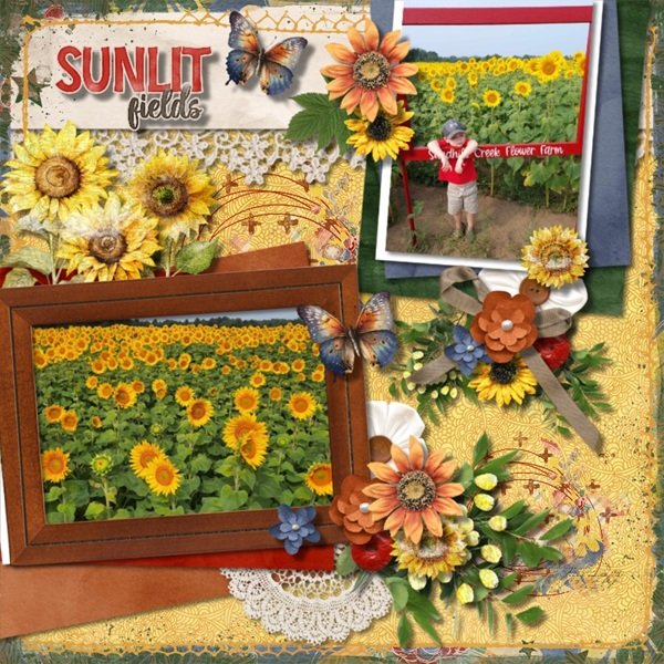 Sunflowers
