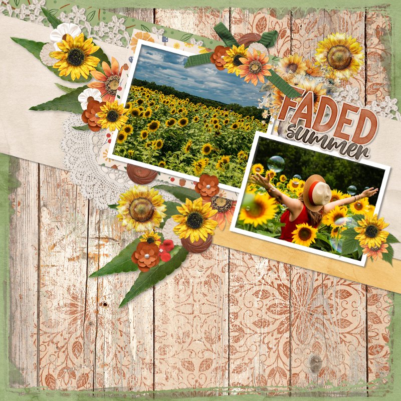 Sunflowers