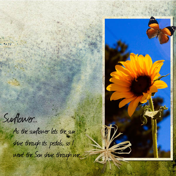 Sunflowers