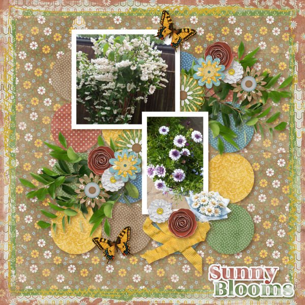 Sunny Blooms