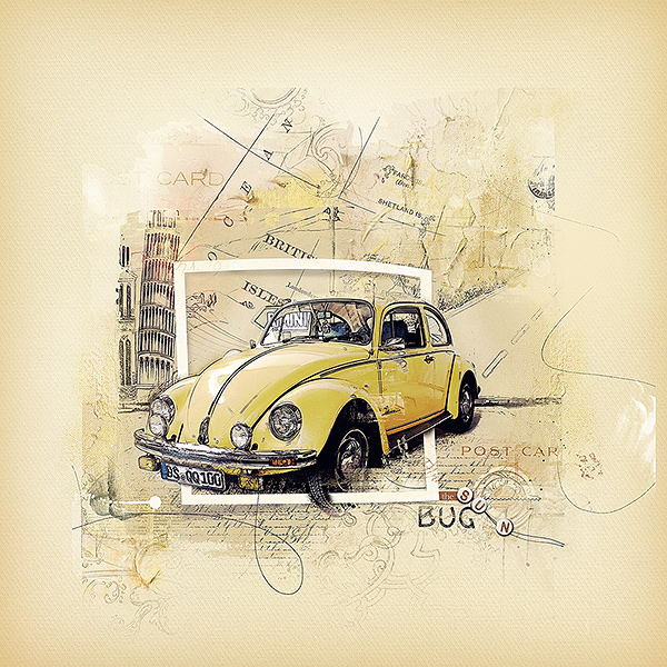 Sunny bug