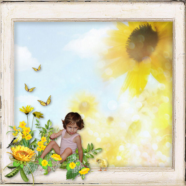 Sunny Day
