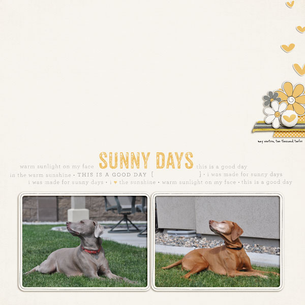 sunny days