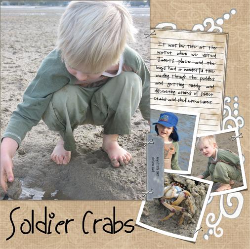 Sunshine and Soldier Crabs