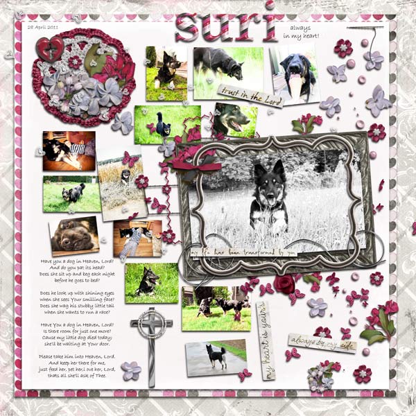 Suri ~ have you a dog in heaven Lord?