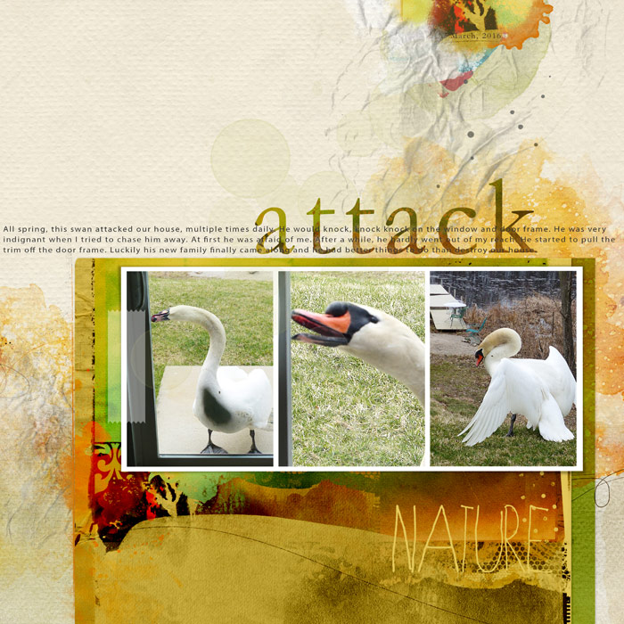 Swan Attack