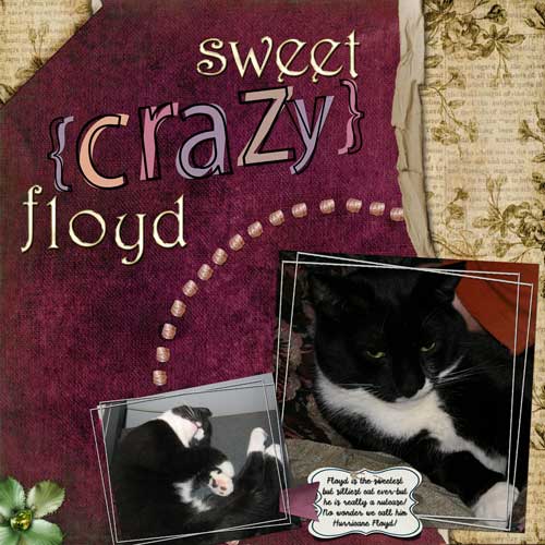 Sweet Crazy Floyd