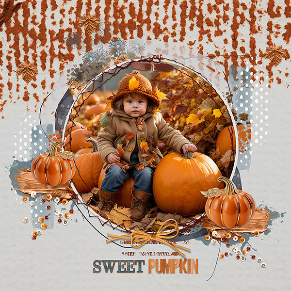 Sweet pumpkin