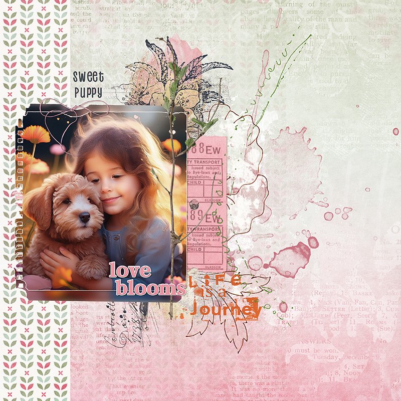 Sweet puppy