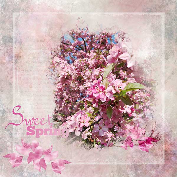 Sweet Spring