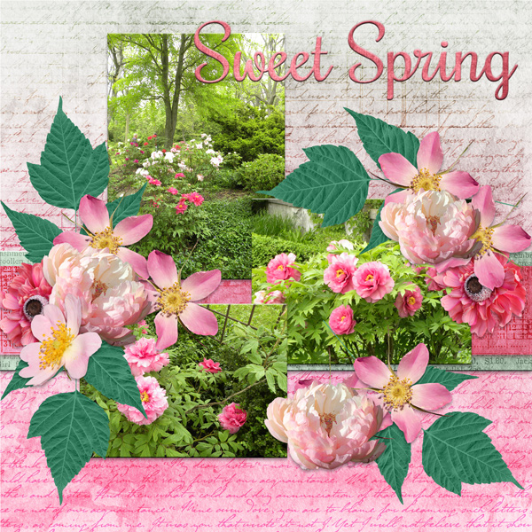 Sweet Spring