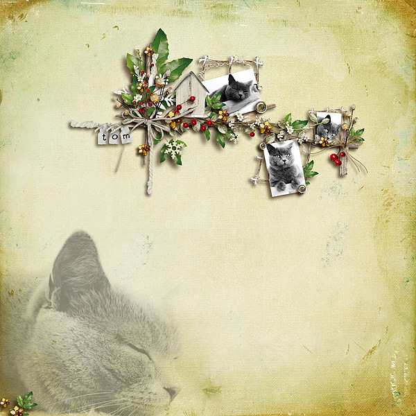 ~sweet sweet winter~