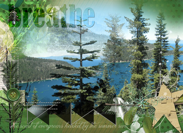 Tahoe Evergreens 1 & 2