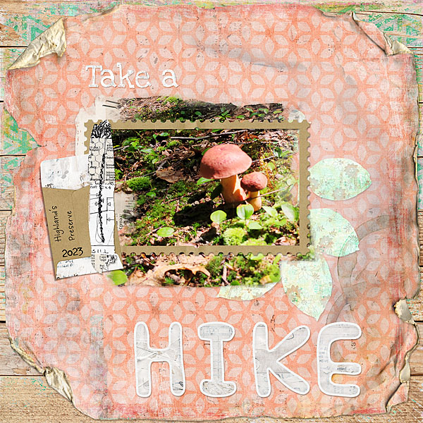 Take a Hike