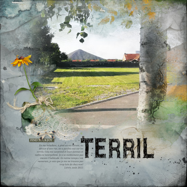 Terril-web (1).jpg