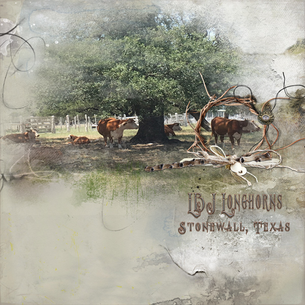 Texas Longhorns