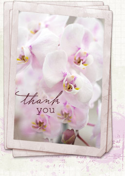 Thank You card