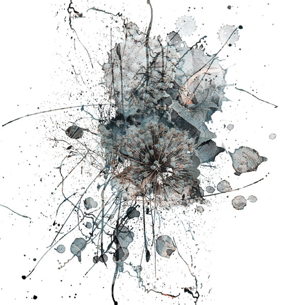 The Abstract Posy