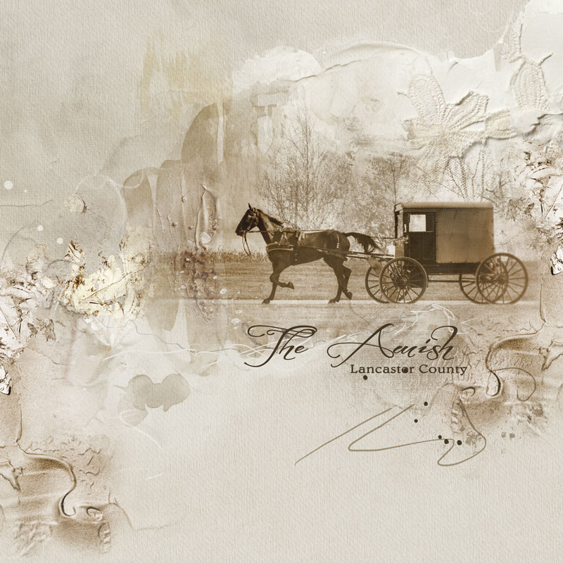 The Amish