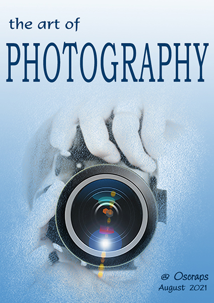 the art of photography poster