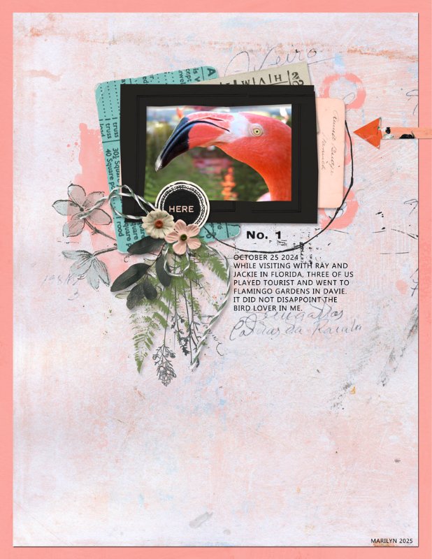 The Assembles - Folio