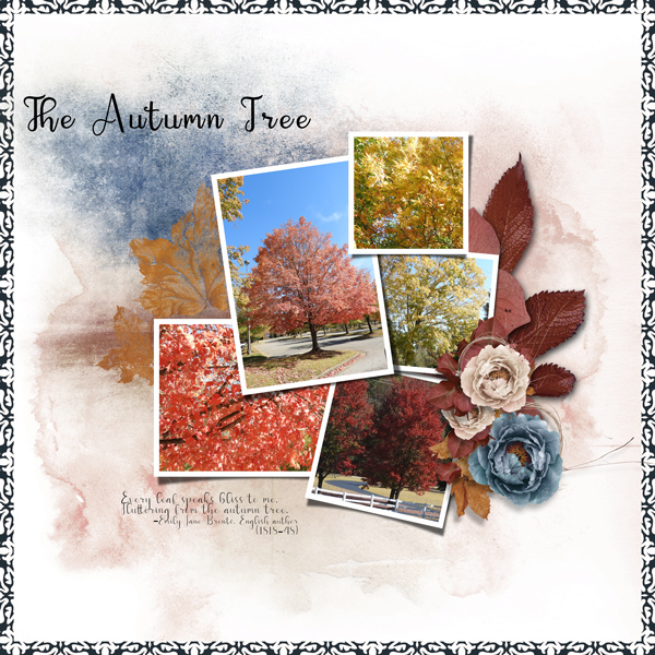 The Autumn Tree