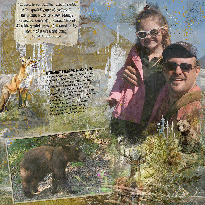 The Bear