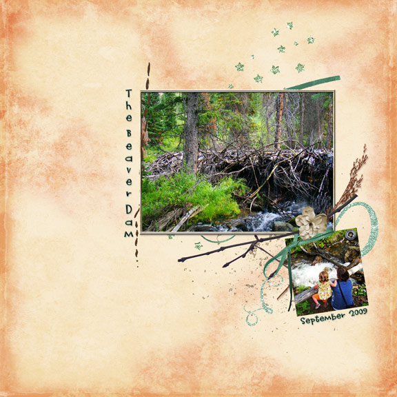 The Beaver Dam