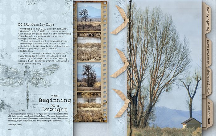 The Beginning of a Drought