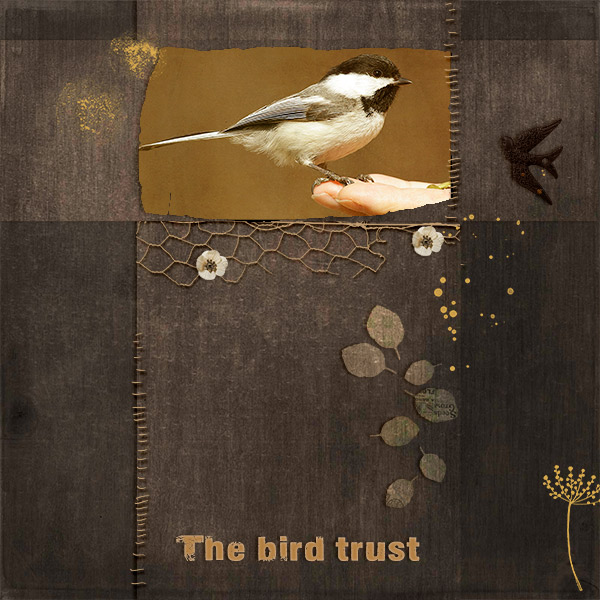 The bird trust