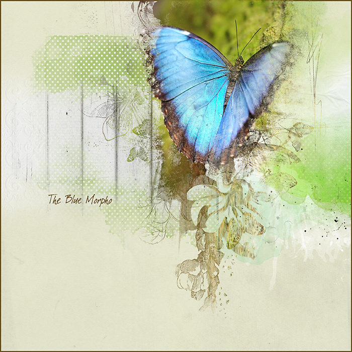 The Blue Morpho