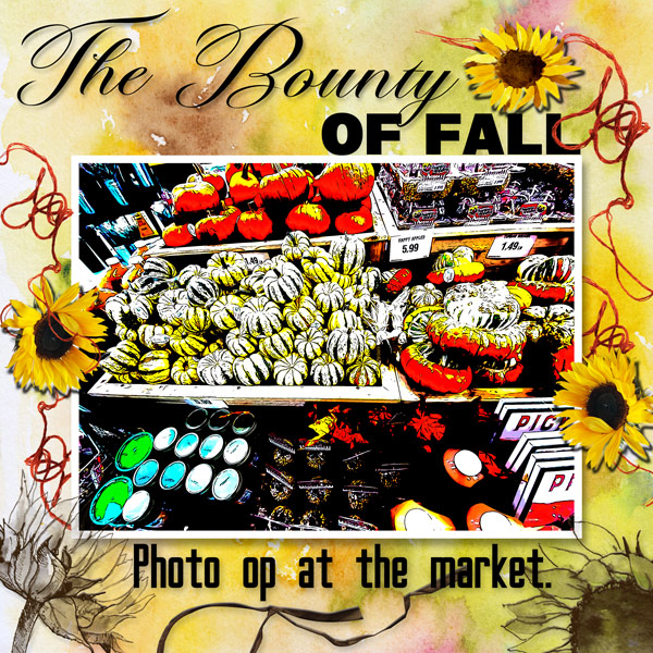 The Bounty of Fall