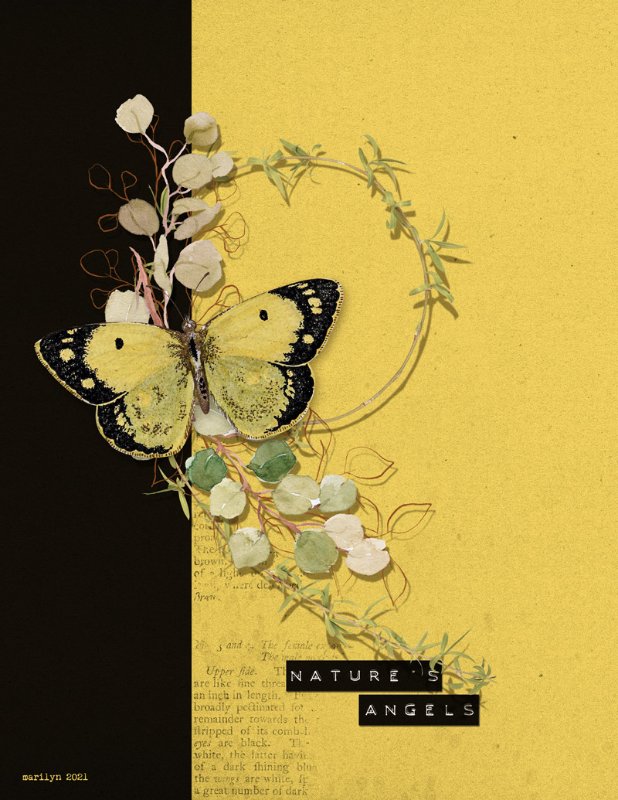 The Butterfly Effect