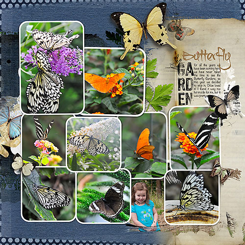 The Butterfly Gardens