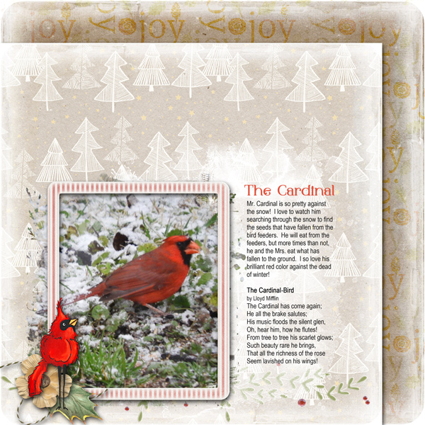 The Cardinal