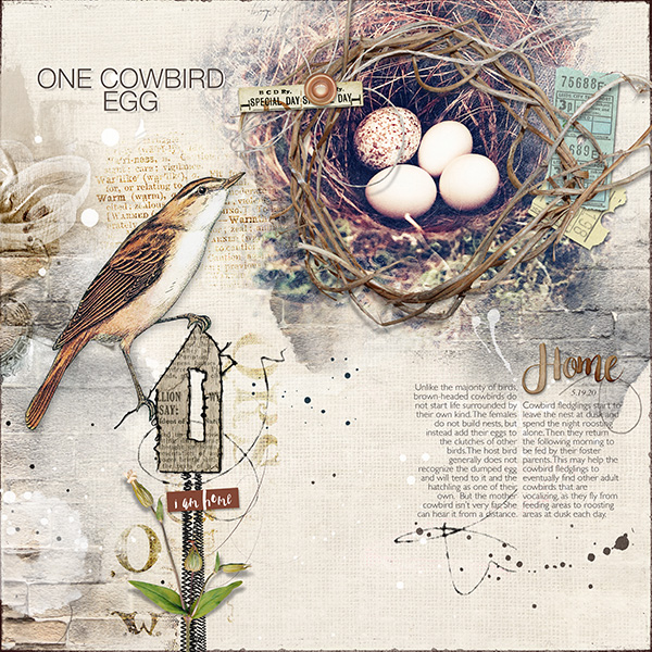 The Cowbird Egg