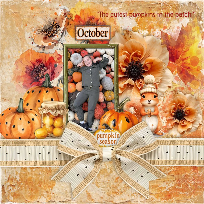 The cutest pumpkins in the patch