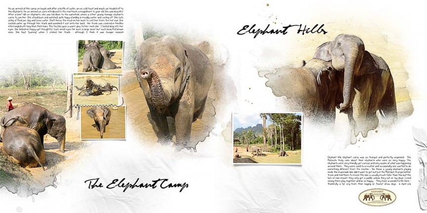 The-elephant-camp-by-mum2gnt