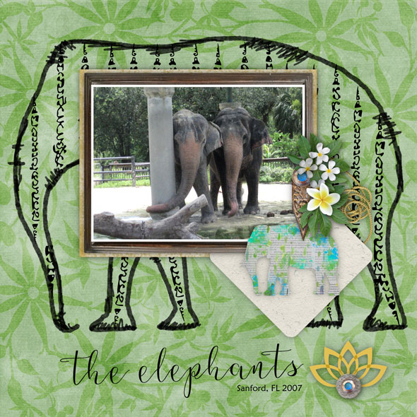 The Elephants