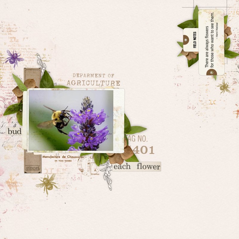 The Flower and the Bee