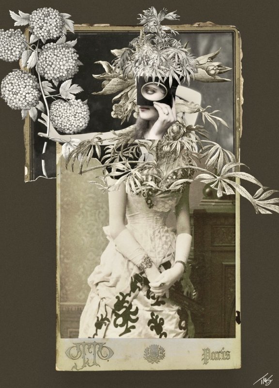 The Flower Girl