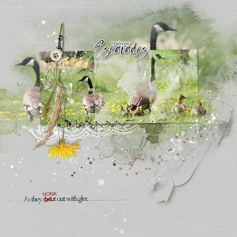 The Goslings