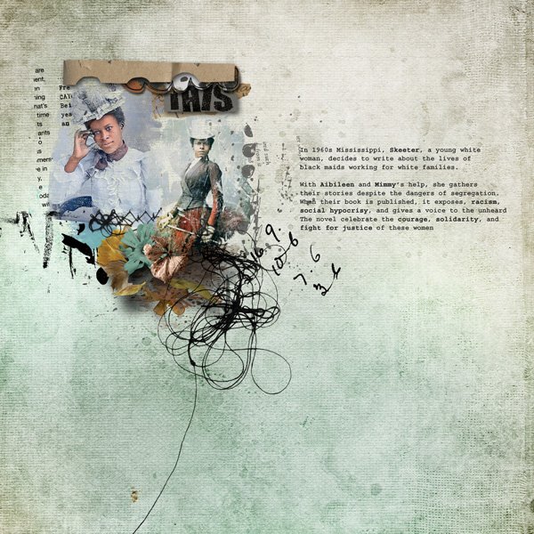 the help (la couleur des sentiments)