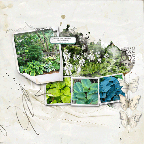 The Hosta Farm/Anna color chall
