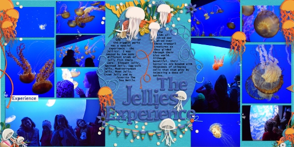 The Jellies Experience